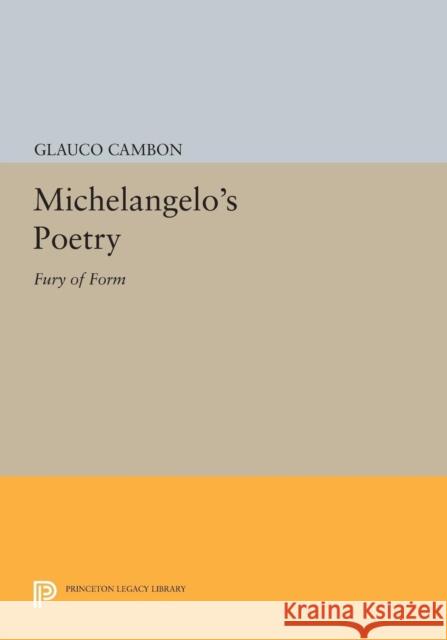 Michelangelo's Poetry: Fury of Form Cambon, G 9780691611211 John Wiley & Sons