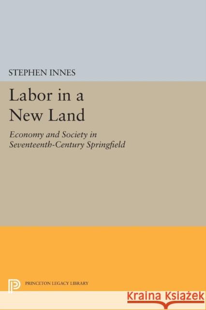 Labor in a New Land: Economy and Society in Seventeenth-Century Springfield Innes, . 9780691613345 John Wiley & Sons