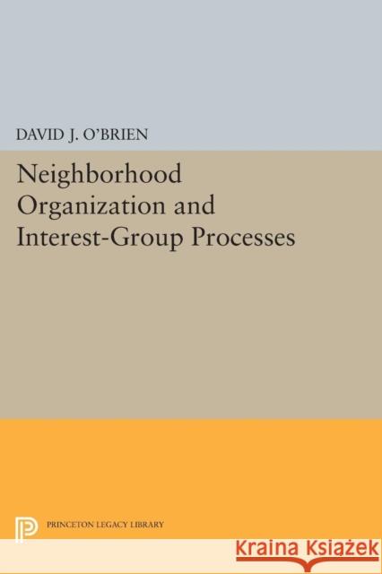 Neighborhood Organization and Interest-Group Processes David J. O'Brien 9780691613482 Princeton University Press