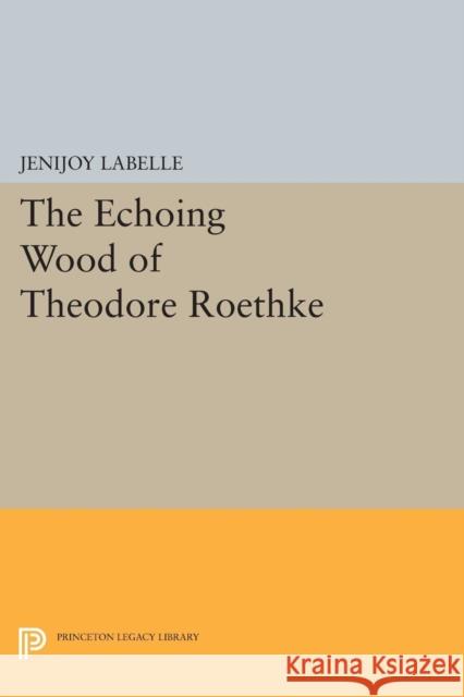 The Echoing Wood of Theodore Roethke Jenijoy Labelle 9780691616919 Princeton University Press