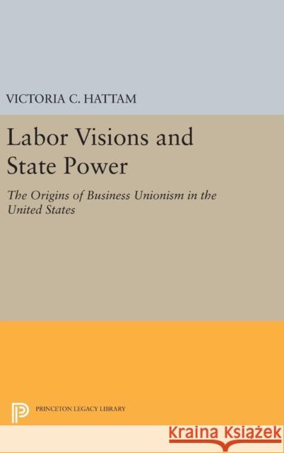 Labor Visions and State Power: The Origins of Business Unionism in the United States Victoria C. Hattam 9780691630069 Princeton University Press