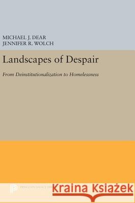 Landscapes of Despair: From Deinstitutionalization to Homelessness Michael J. Dear Jennifer R. Wolch 9780691631110 Princeton University Press