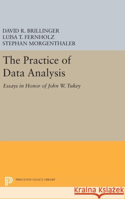 The Practice of Data Analysis: Essays in Honor of John W. Tukey David R. Brillinger Luisa T. Fernholz Stephan Morgenthaler 9780691631240 Princeton University Press