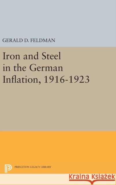 Iron and Steel in the German Inflation, 1916-1923 Gerald D. Feldman 9780691633169