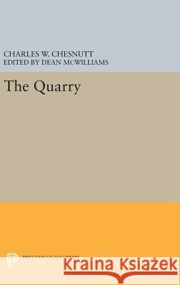 The Quarry Charles W. Chesnutt Dean McWilliams 9780691635477