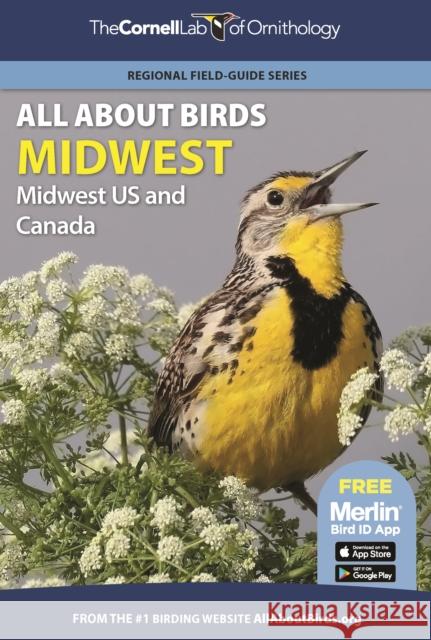 All about Birds Midwest: Midwest Us and Canada Cornell Lab of Ornithology 9780691990002