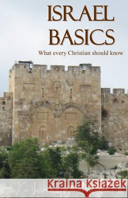 Israel Basics: What Every Christian Should Know K. J. Frolander 9780692014400 Kimberly J. Frolander