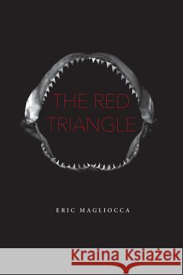 The Red Triangle Eric Magliocca 9780692029176