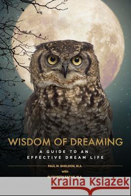 Wisdom of Dreaming: A guide to an effective dream life Sheldon, Paul M. 9780692049938 Limnosophy, LLC