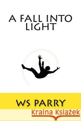 A Fall Into Light Ws Parry 9780692052129 Impermanence Studio