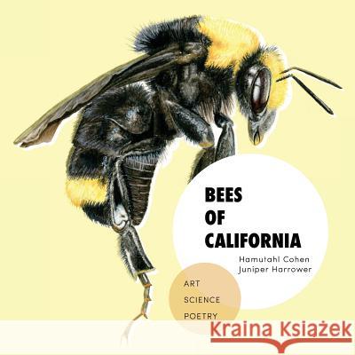 Bees of California: Art, Science, and Poetry Hamutahl Cohen Juniper Harrower Vermeulen Sofia 9780692089668 Symbiostudio