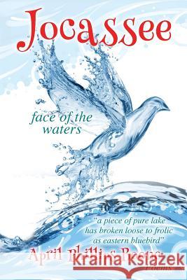 Jocassee: face of the waters Boone, April Phillips 9780692099759