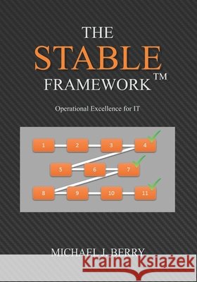 The Stable Framework(TM): Operational Excellence for IT Operations, Implementation, DevOps, and Development Berry, Michael J. 9780692144008