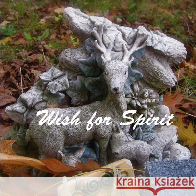 Wish for Spirit: visual poem Muehlbauer, Sarah 9780692209370 Waterhorse Press LLC