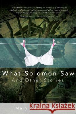 What Solomon Saw and Other Stories Mary Dean Cason 9780692238684 Inkwit