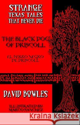 The Black Dog of Driscoll David Bowles Marco Sanchez 9780692275115 Overlooked Books