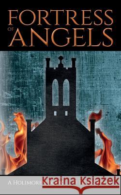 Fortress of Angels D. Dean Boom 9780692337783 Mostly Normal Publishing