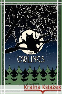 The Owlings: A Worldview Novella Daniel a. DeWitt 9780692338209 Theolatte Press