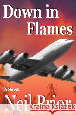 Down in Flames Neil Prior 9780692384886 20pawspress