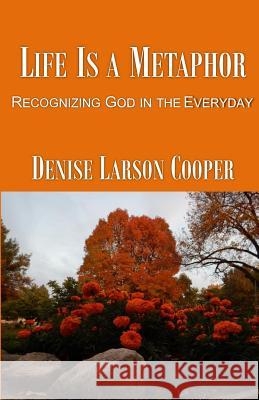 Life Is a Metaphor: Recognizing God in the Everyday Denise Larson Cooper 9780692403440