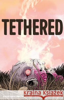 Tethered David Faroz Precht Danny Luckert Lindsay McComb 9780692498514