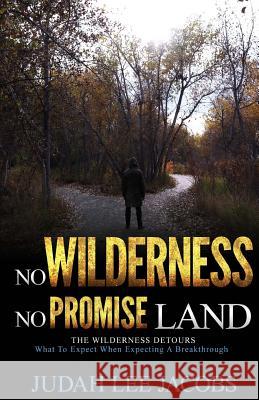 The Wilderness Detours Judah Lee Jacobs 9780692506820 Judahstribe