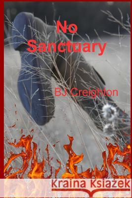 No Sanctuary Bj Creighton 9780692519608 Lee Higbie