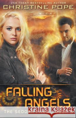 Falling Angels Christine Pope 9780692627754 Dark Valentine Press