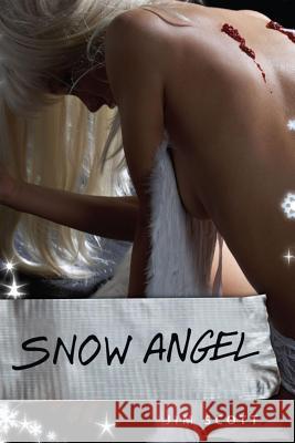 Snow Angel Jim Scott 9780692638996 Jim Scott