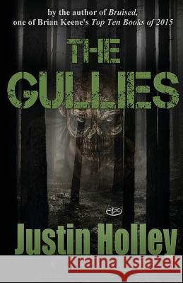 The Gullies Justin Holley 9780692658130 Shadow Play Books