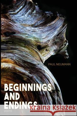 Beginnings and Endings Paul Neumann 9780692661529