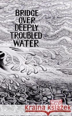Bridge Over Deeply Troubled Waters Tony Beauxlognas 9780692668252 Grano Salas