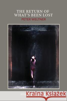 The Return of What's Been Lost Peter Weltner 9780692712801 Marrowstone Press