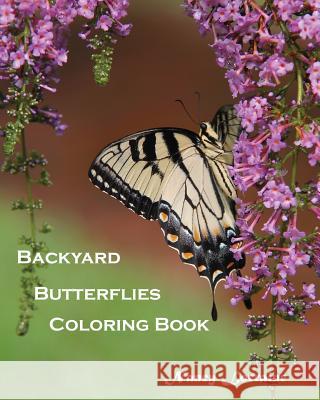 Backyard Butterflies Coloring Book Nancy Lorraine 9780692716830 Nancylorrainebooks