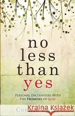 No Less Than Yes: Personal Encounters With The Promises of God Patty, Connie 9780692766132