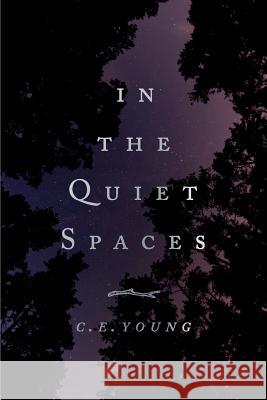 In the Quiet Spaces C. E. Young 9780692806289 Obsidian Sky Books