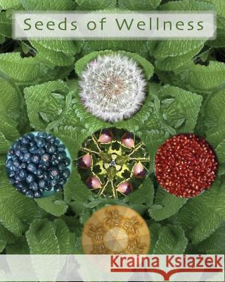 Seeds of Wellness Diane Smalley 9780692821039