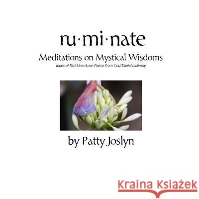 ruminate: Meditations on Mystical Wisdoms Joslyn, Patty 9780692823101