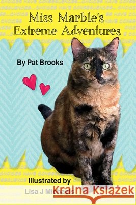 Miss Marble's Extreme Adventures Patricia Brook Lisa J. Michaels 9780692848760