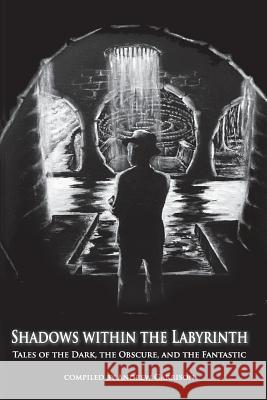 Shadows Within the Labyrinth: Tales of the Dark, the Obscure, and the Fantastic Andrew Garrison C. Vincent Devellis B. L. Rich 9780692930816 Andrew Sacrider