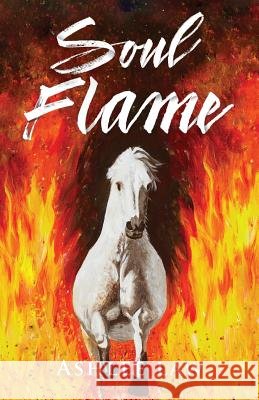 Soul Flame Ashlee Law 9780692938676