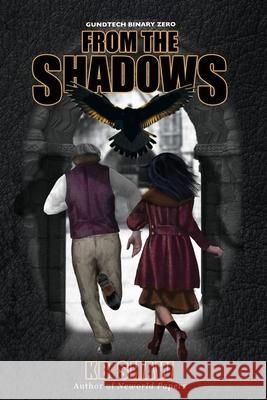 From the Shadows Kb Shaw 9780692959442 Ipulp