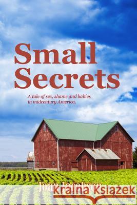 Small Secrets Joan Jacobson 9780692976456 Words & Pages LLC