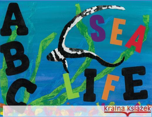 ABC Sea Life Angi M. Shelangoski 9780692998120 Serendipity: Art of Living