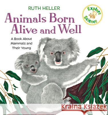 Animals Born Alive and Well: A Book about Mammals Ruth Heller 9780698117778 Putnam Publishing Group