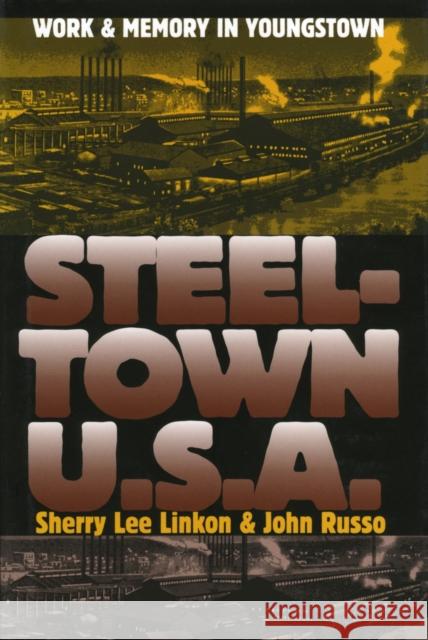 Steeltown U.S.A.: Work and Memory in Youngstown Linkon, Sherry Lee 9780700612925 University Press of Kansas