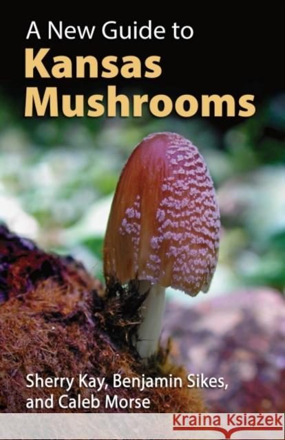 A New Guide to Kansas Mushrooms Caleb Morse 9780700633067 University Press of Kansas