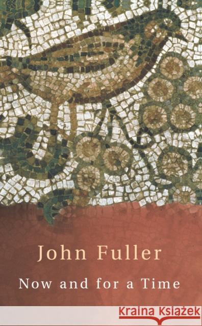 Now and for a Time John Fuller 9780701173517