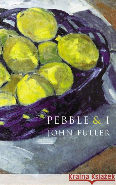 Pebble & I Professor John Fuller 9780701184919