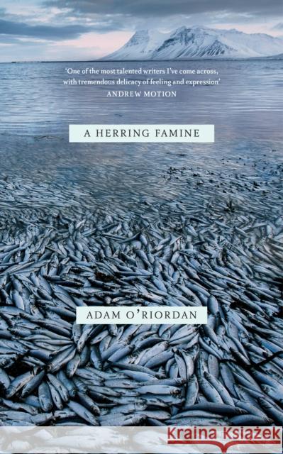 Herring Famine  O'Riordan, Adam 9780701187972